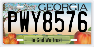 GA license plate PWY8576
