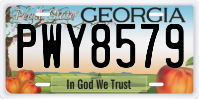 GA license plate PWY8579