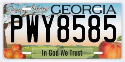 GA license plate PWY8585