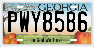 GA license plate PWY8586