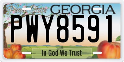 GA license plate PWY8591