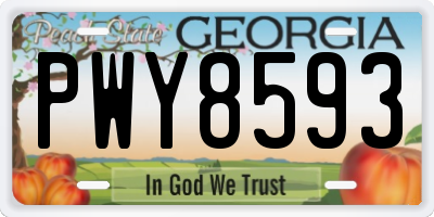 GA license plate PWY8593