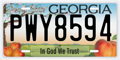 GA license plate PWY8594