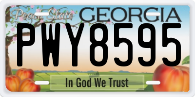 GA license plate PWY8595