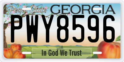 GA license plate PWY8596