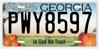 GA license plate PWY8597