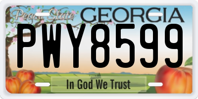 GA license plate PWY8599