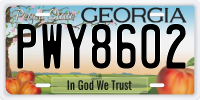 GA license plate PWY8602