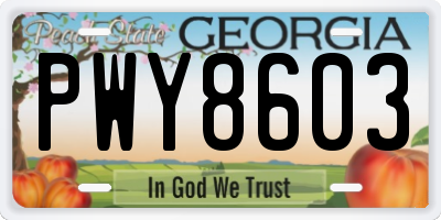 GA license plate PWY8603