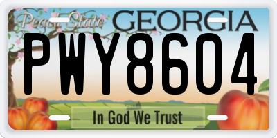 GA license plate PWY8604