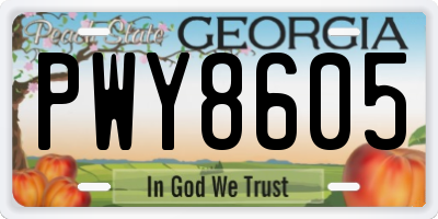 GA license plate PWY8605