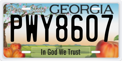 GA license plate PWY8607