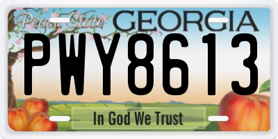 GA license plate PWY8613