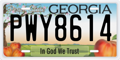 GA license plate PWY8614