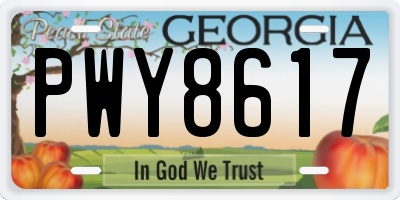 GA license plate PWY8617