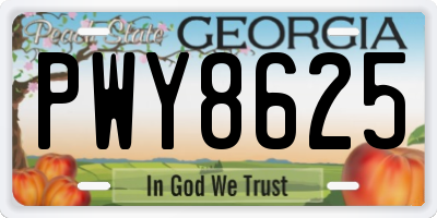 GA license plate PWY8625