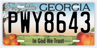 GA license plate PWY8643