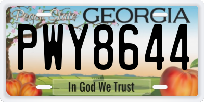 GA license plate PWY8644