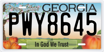 GA license plate PWY8645
