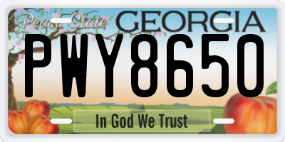 GA license plate PWY8650