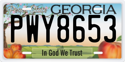 GA license plate PWY8653