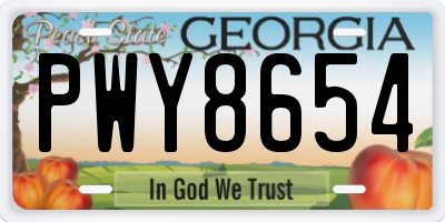 GA license plate PWY8654