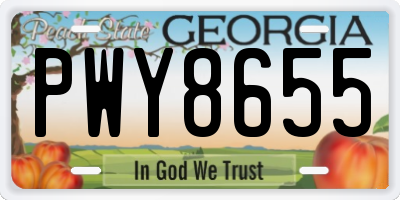GA license plate PWY8655