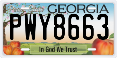 GA license plate PWY8663