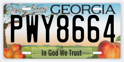 GA license plate PWY8664
