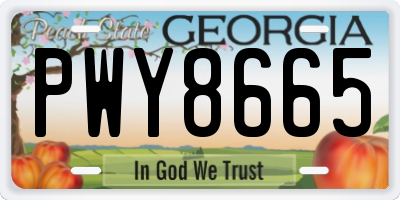 GA license plate PWY8665