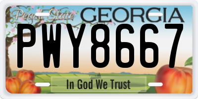 GA license plate PWY8667