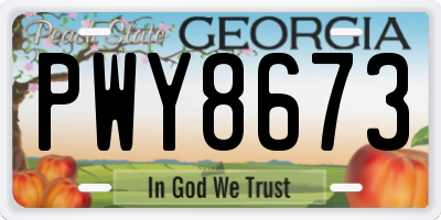 GA license plate PWY8673