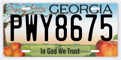 GA license plate PWY8675