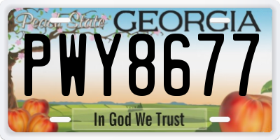 GA license plate PWY8677