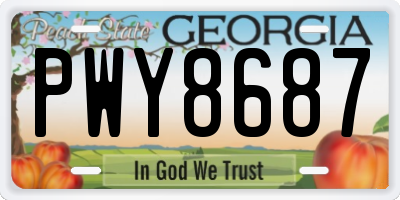 GA license plate PWY8687