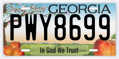 GA license plate PWY8699
