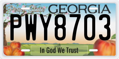 GA license plate PWY8703