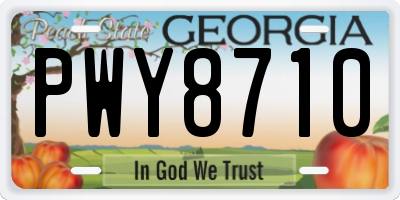 GA license plate PWY8710