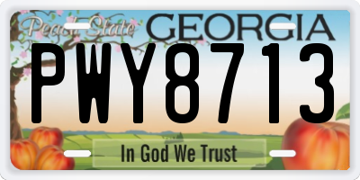 GA license plate PWY8713