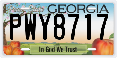 GA license plate PWY8717