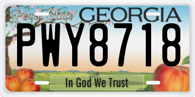 GA license plate PWY8718