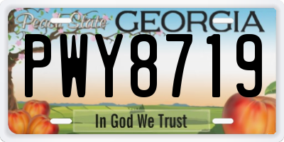 GA license plate PWY8719