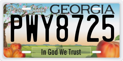GA license plate PWY8725