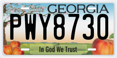 GA license plate PWY8730