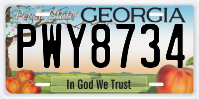 GA license plate PWY8734