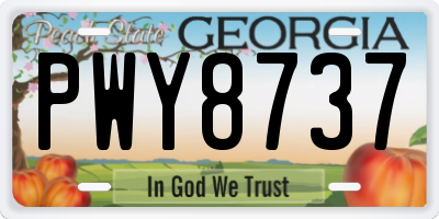 GA license plate PWY8737