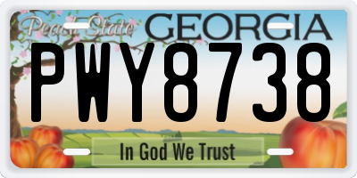 GA license plate PWY8738
