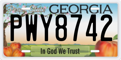 GA license plate PWY8742