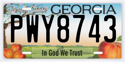 GA license plate PWY8743