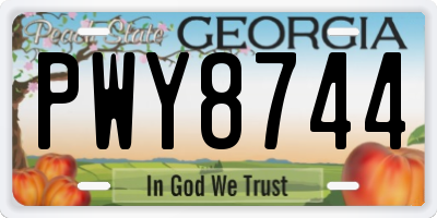 GA license plate PWY8744